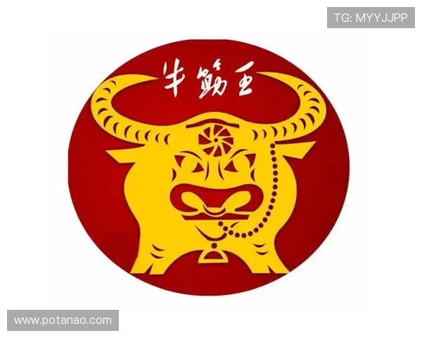 揭秘尊龙凯时网页版的注册与登录流程指南